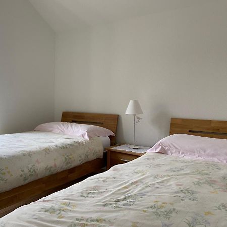 Rustico San Giorgio: Losone Esterno foto